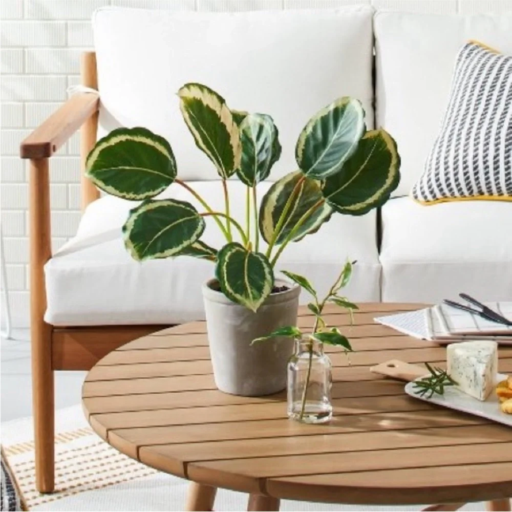 Hearth & Hand with Magnolia Faux Calathea Ceramic Potted Plant